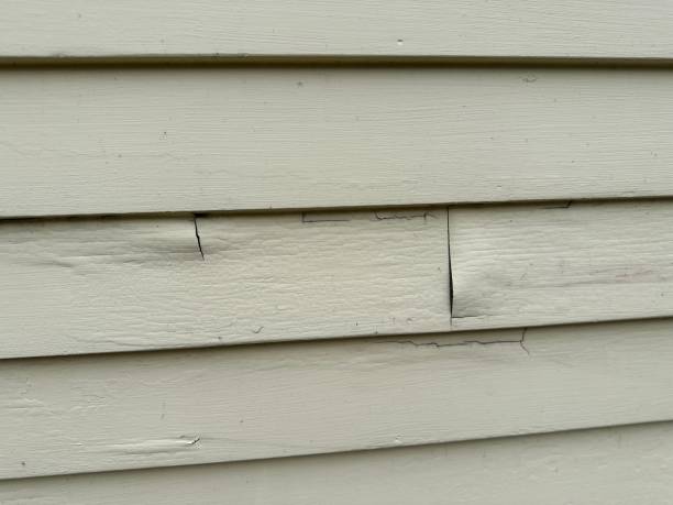 Best Aluminum Siding Installation  in Ayden, NC