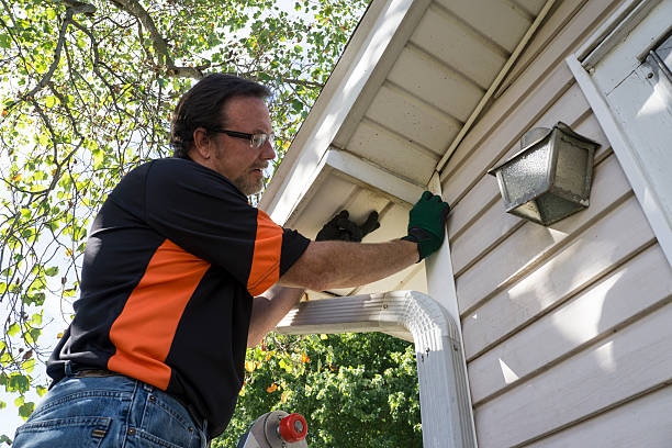 Best Insulated Siding Installation  in Ayden, NC